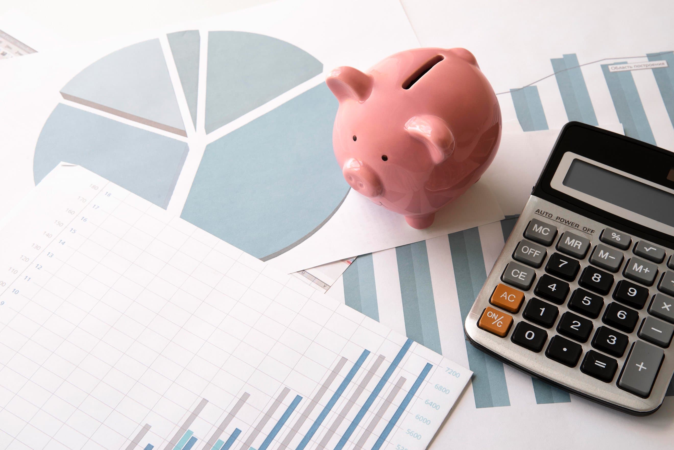 Como evitar o endividamento e a inadimplência com uma boa gestão financeira para 2024