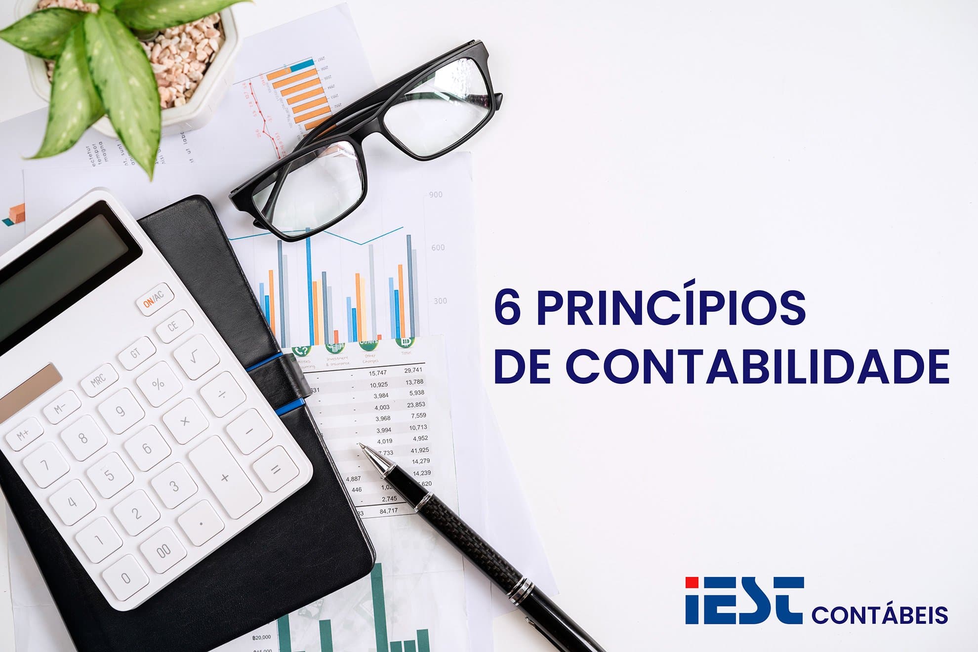 Contabilidade empresarial: os 6 princípios que guiam a prática no Brasil